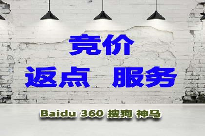 实战派心得：百度竞价代理案例解读与优化技巧